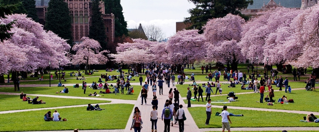 The University of Washington