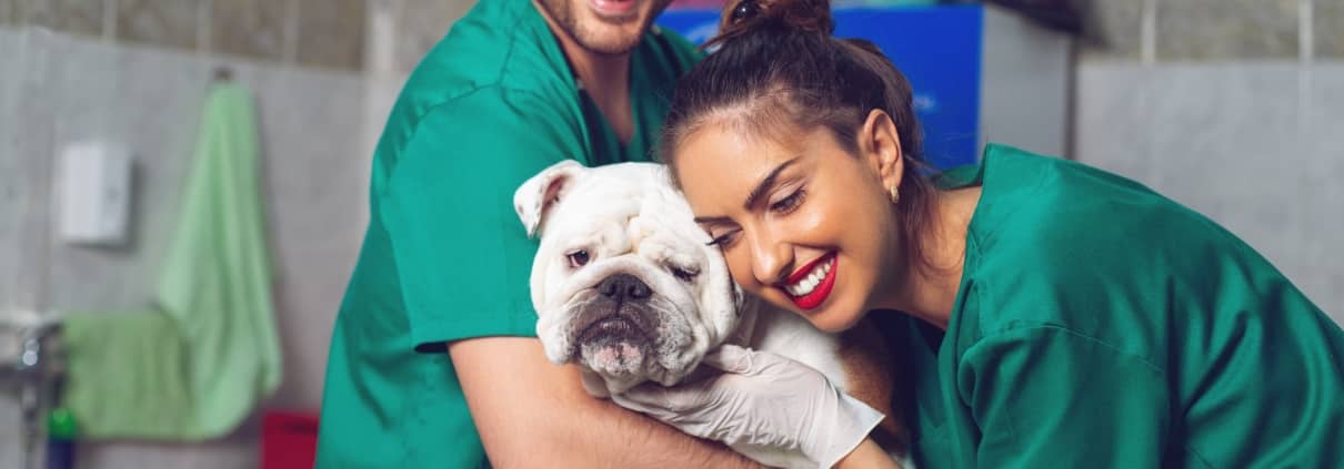 Two smiling vets with a dog during an exam